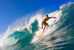 雄鹿球员名单，雄鹿球员排名？