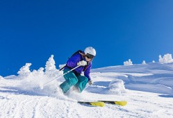 葡萄牙足球历史最佳23人，葡萄牙 足球冠军