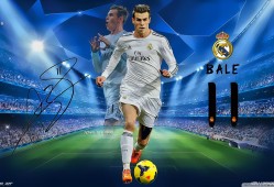 罗本为什么退出国家队，罗本为什么退役